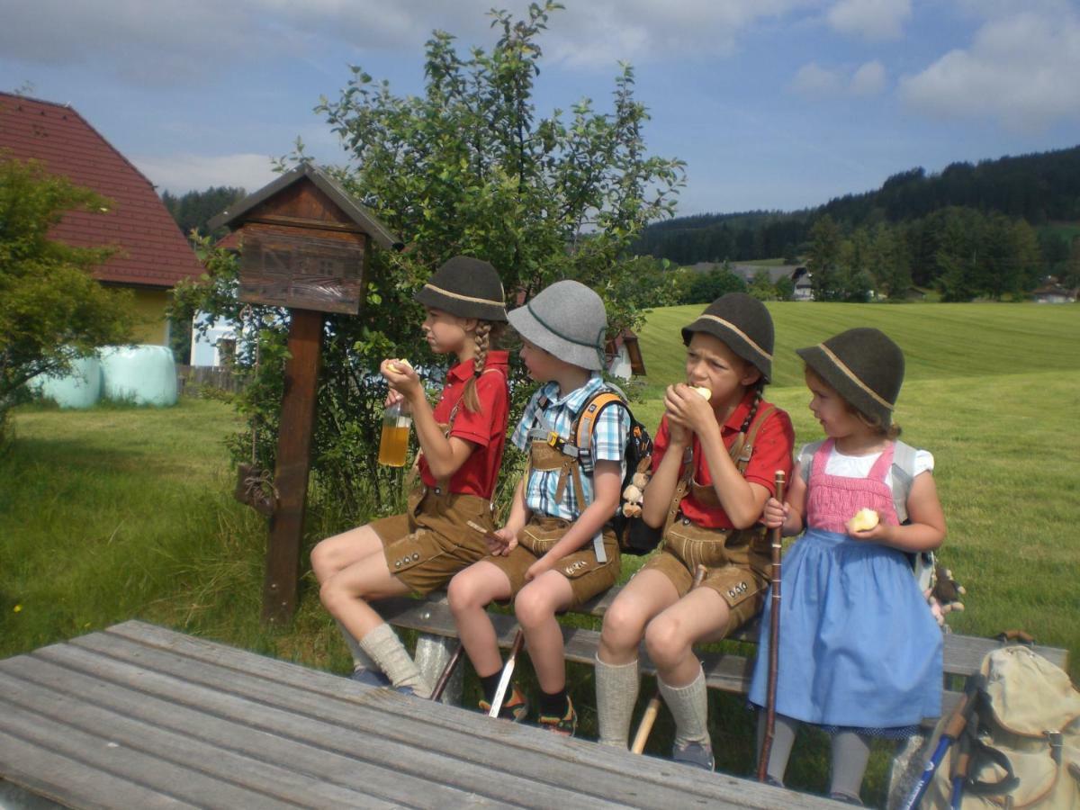 Urlaub Am Bauernhof Grabenhofer Villa Sankt Jakob im Walde Kültér fotó
