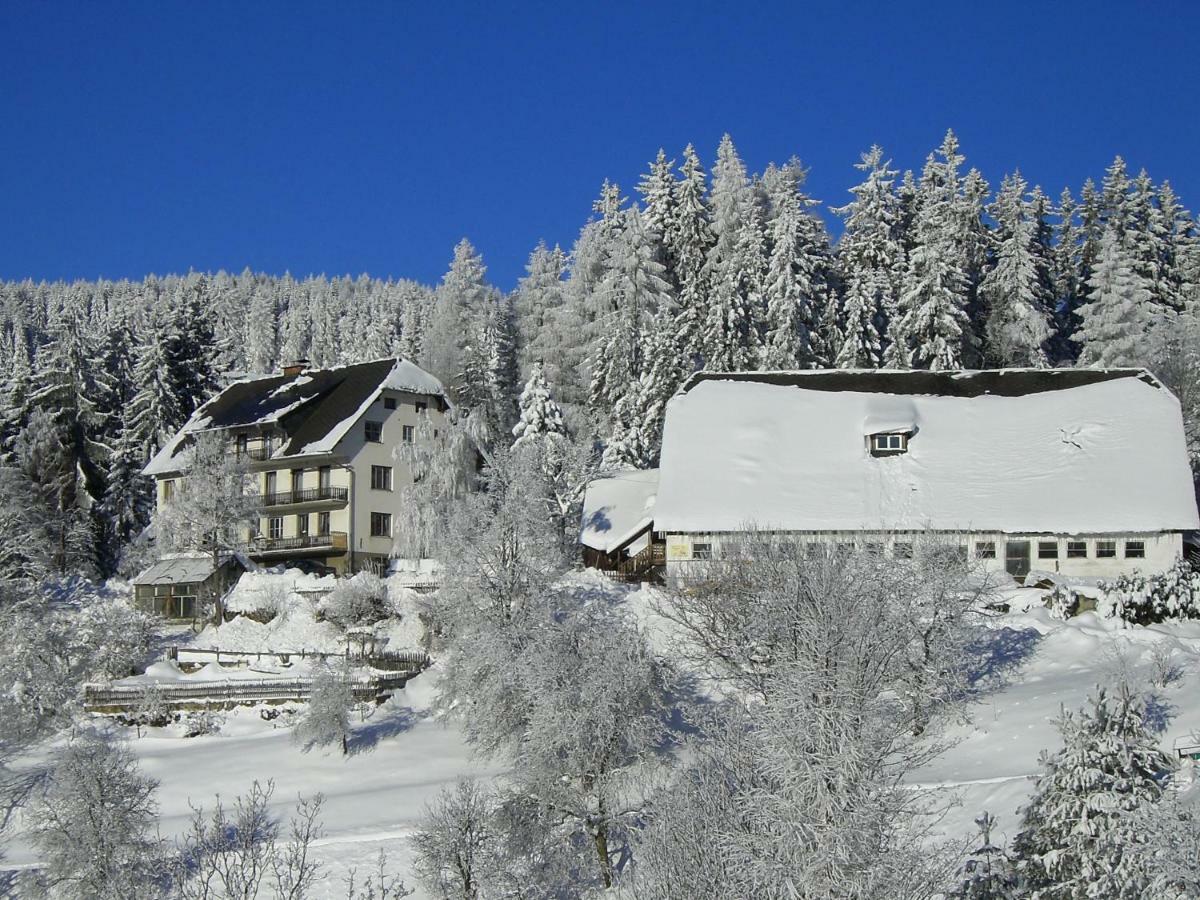Urlaub Am Bauernhof Grabenhofer Villa Sankt Jakob im Walde Kültér fotó